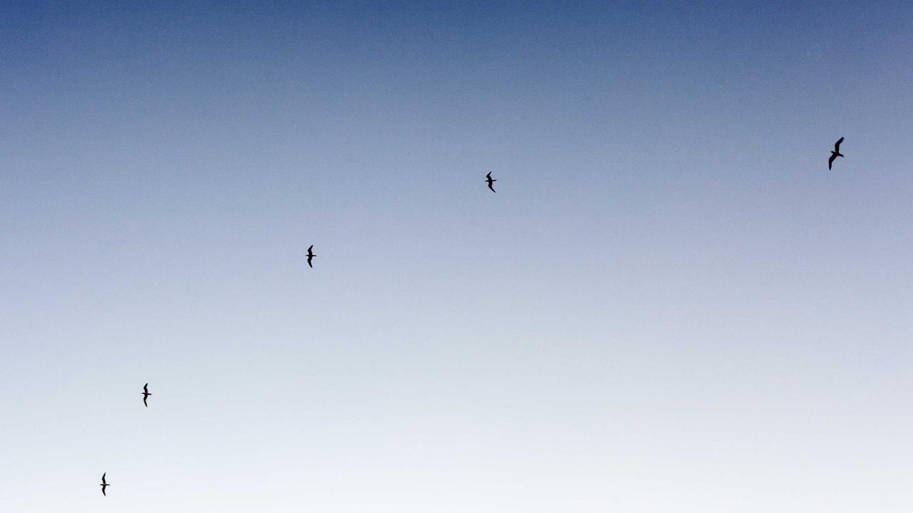体育赛事现场